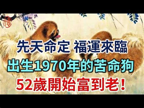 1970年生肖|1970年是什麼生肖？70年生人命運如何？五行屬釵釧。